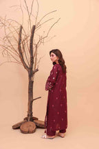 Meri Kahani