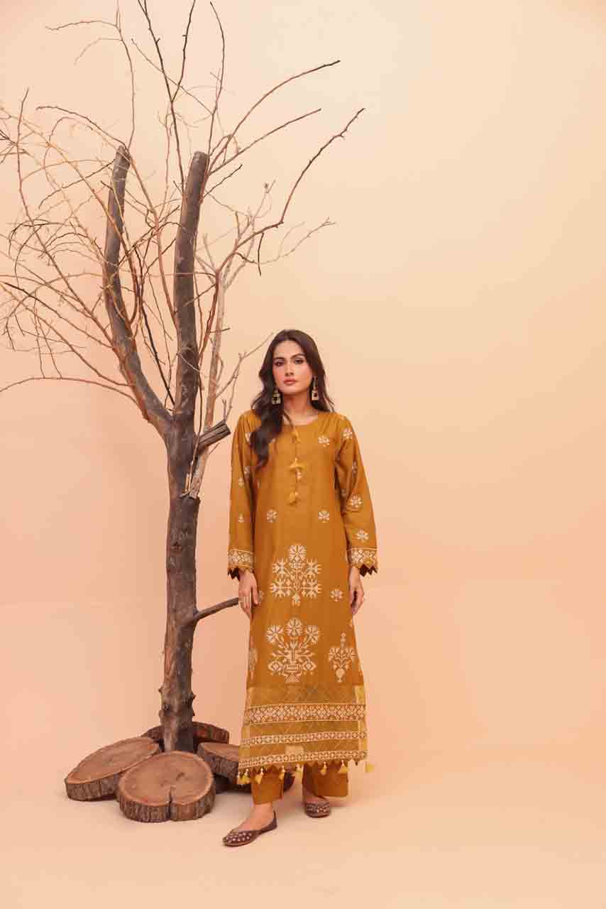 Meri Kahani