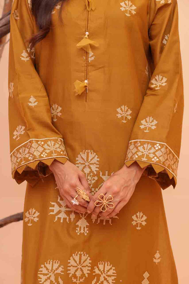 Meri Kahani Main Image