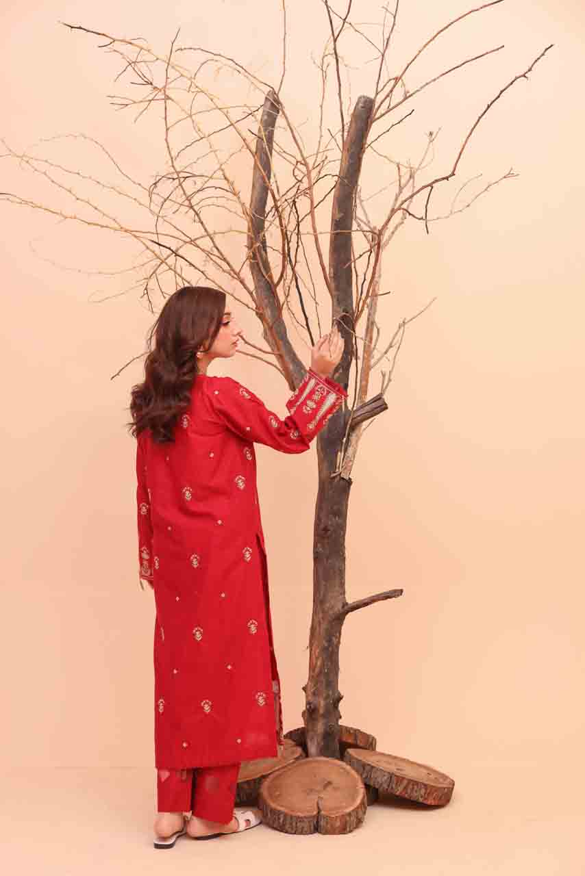 Meri Kahani