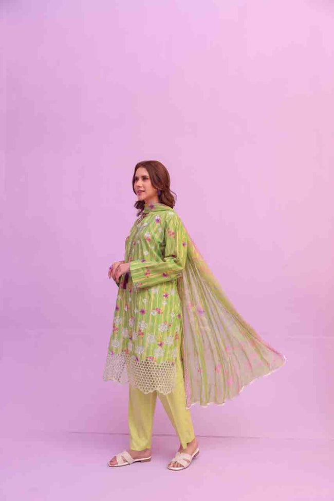 Rang e Gull Main Image