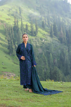 Wadi e Ishq