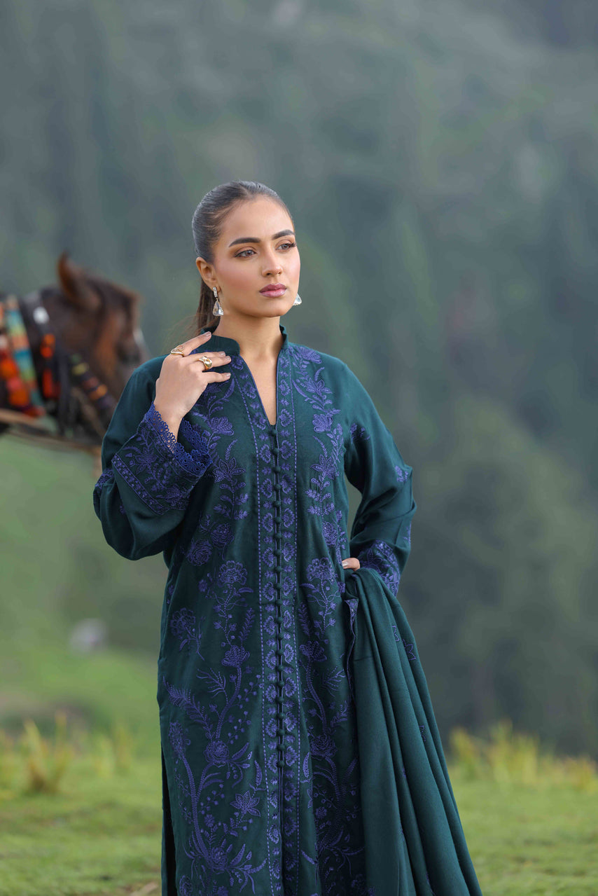 Wadi e Ishq
