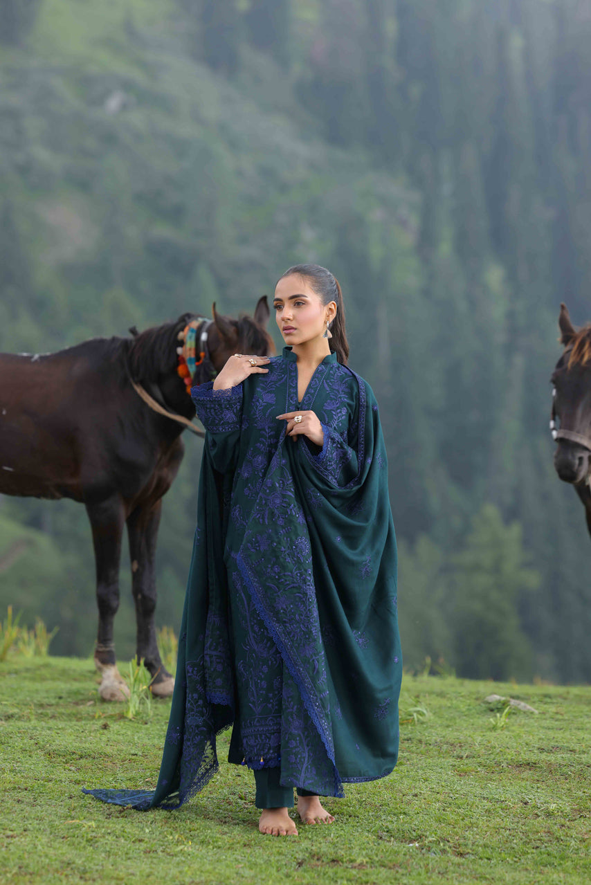 Wadi e Ishq