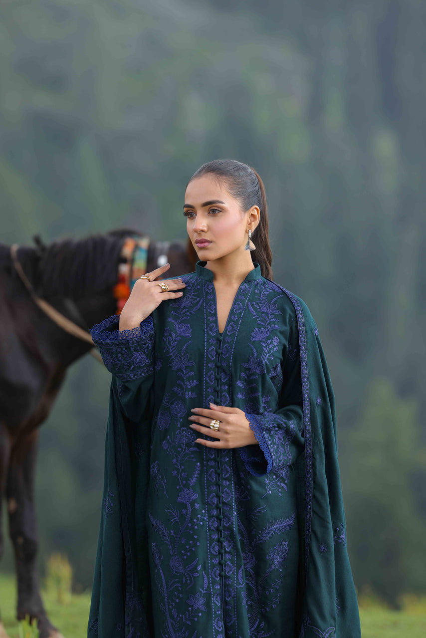 Wadi e Ishq