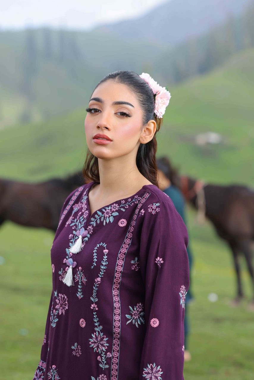 Wadi e Ishq