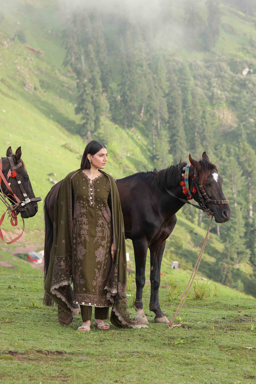 Wadi e Ishq