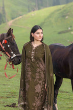 Wadi e Ishq