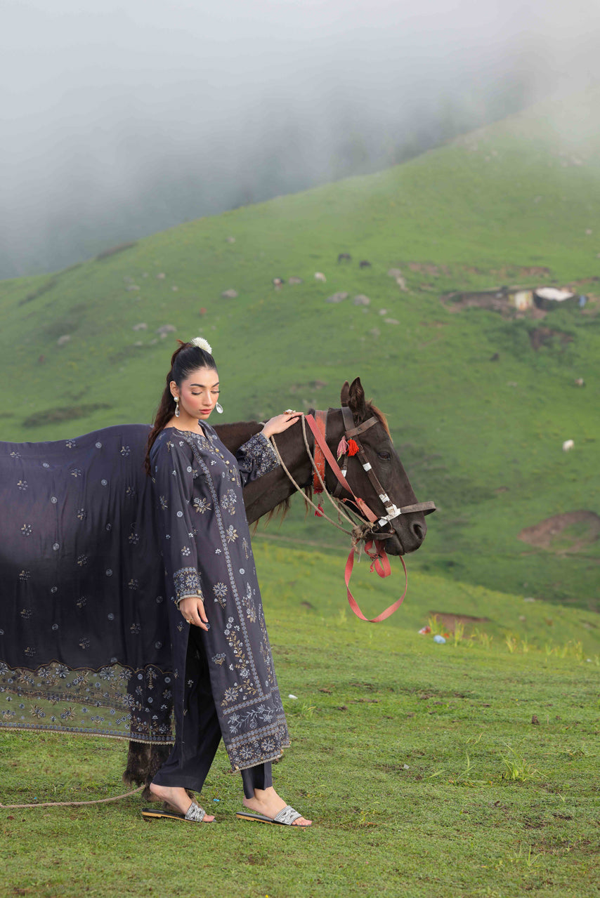 Wadi e Ishq