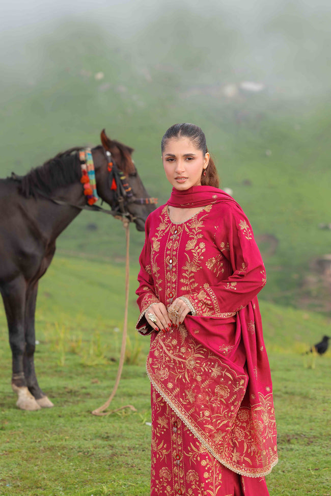 Wadi e Ishq Main Image