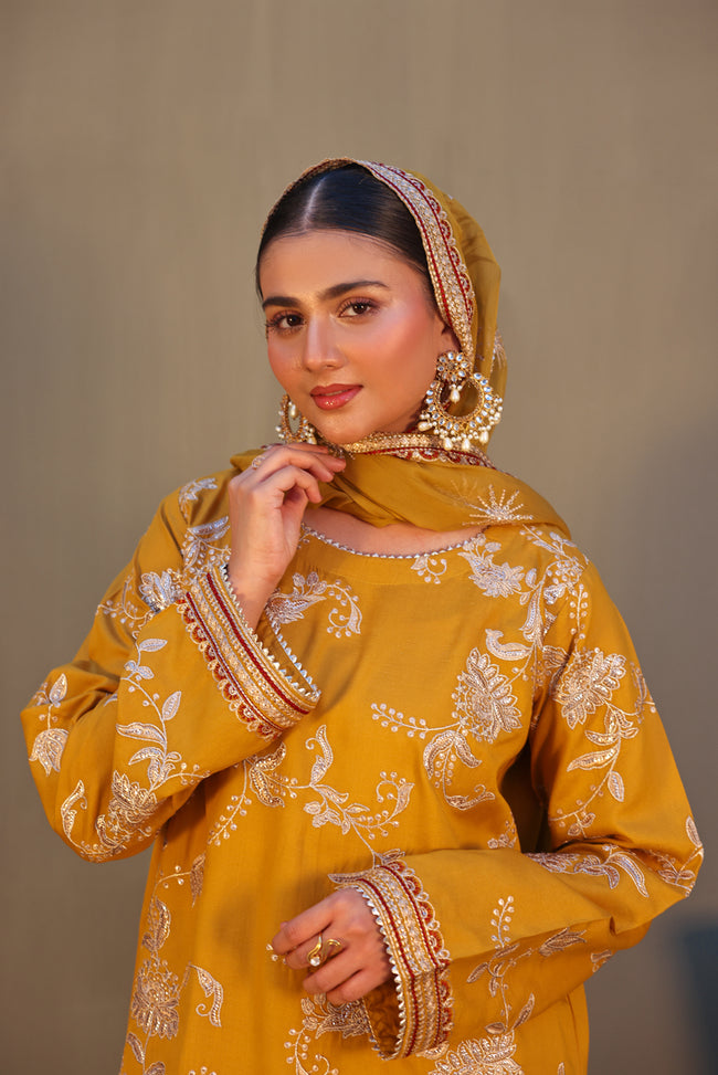 Nayaab (Stitched 3 Piece) Hover Image