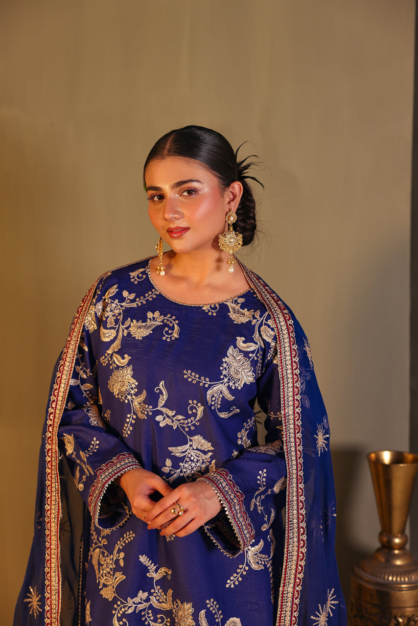 Nayaab (Stitched 3 Piece)