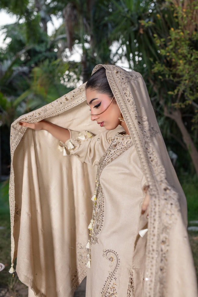 Dilnasheen Main Image