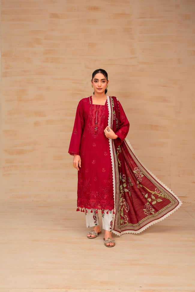 Chandni Main Image